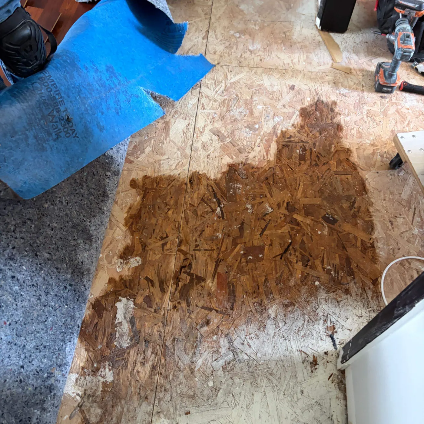 Thermal imaging during water damage assessment in Stonybrook residence